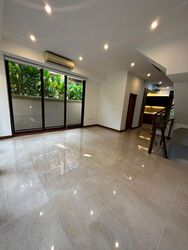 Holland Link (D10), Terrace #583549091